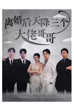 离婚后天降三个大佬哥哥