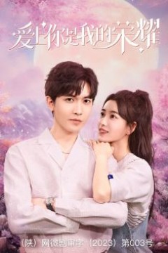 爱上你是我的荣耀