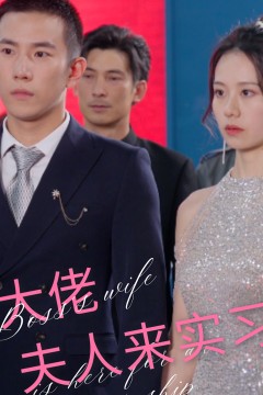 大佬夫人来实习