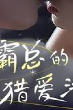 女霸总的l爱法则