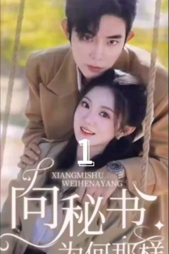 向秘书为何那样