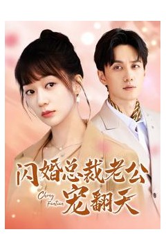 闪婚总裁老公宠翻天