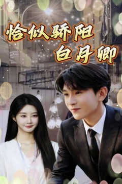 恰似骄阳白月卿