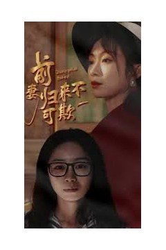 前妻归来不可欺