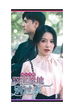 前任攻略，双宝爹地别过来