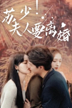 苏少！夫人要离婚