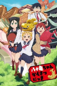 八十龟酱观察日记第一季