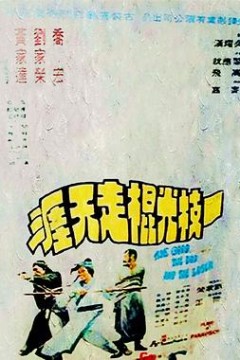 一枝光棍走天涯国语