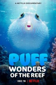 河豚之家：神奇的珊瑚礁