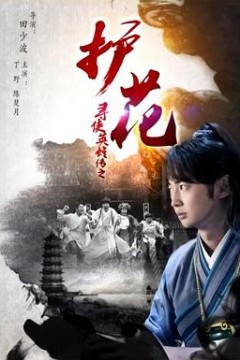 寻侠英雄传之护花