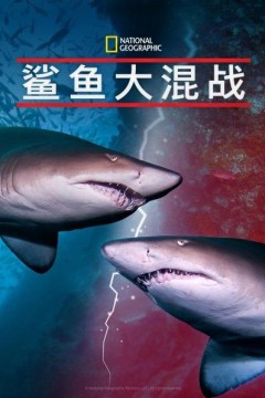 鲨鱼大混战