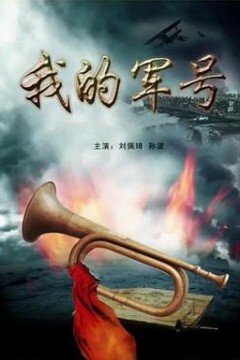 我的军号