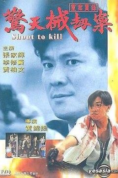 重案实录之惊天械劫案