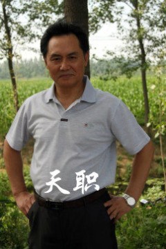 天职2012