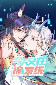 今天又在撩系统