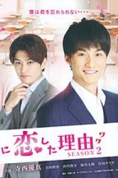 他爱上我的理由第二季