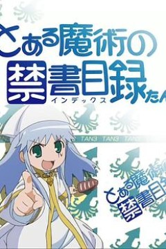 魔法禁书目录茵蒂克丝炭