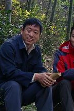 大饼的莎士比亚