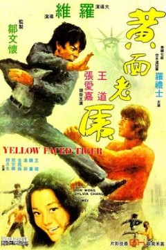 黄面老虎