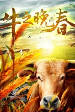 牛之晚春