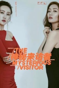 神秘来访者