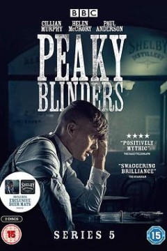 浴血黑帮第五季