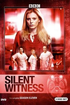 无声的证言第十一季