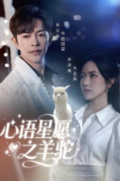 心语星愿之羊驼