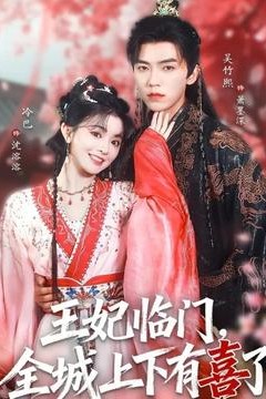 王妃临门全城上下有喜了