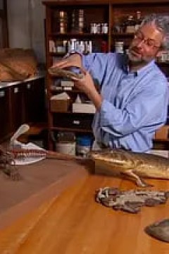 审判日 Judgement 2007