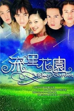 流星花园(2001)