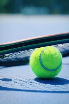 WTA阿布扎比站第三日：纳瓦罗VS巴蒂斯特