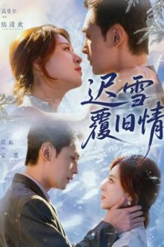 迟雪覆旧情