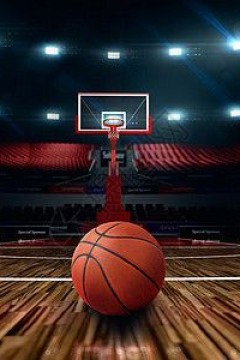 3月2日25-26赛季NBA常规赛 灰熊VS步行者