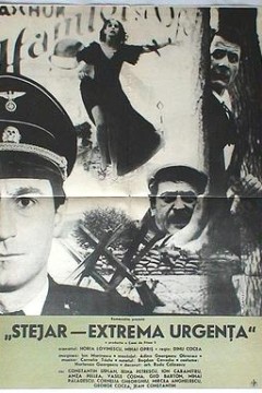 橡树，十万火急