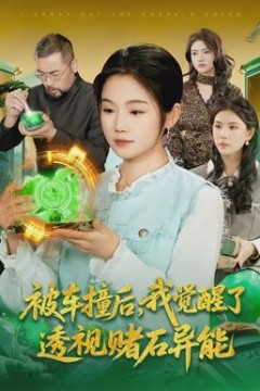 被车撞后，我觉醒了透视赌石异能了