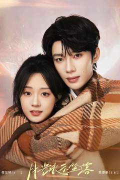 月光永不坠落2026