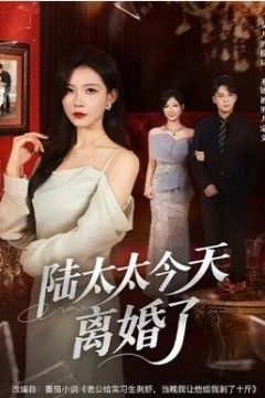 陆太太今天离婚了