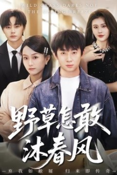 野草怎敢沐春风