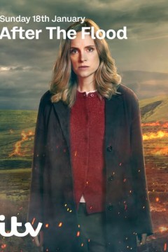 洪水之后第二季
