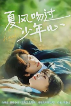 夏风吻过少年心