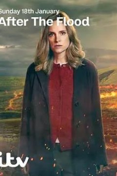 洪水之后第2季