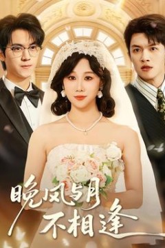 晚风与月不相逢