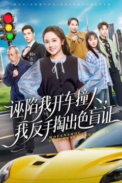 诬陷我开车撞人，我反手掏出色盲