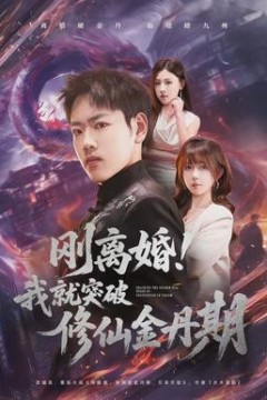 刚离婚！我就突破修仙金丹期