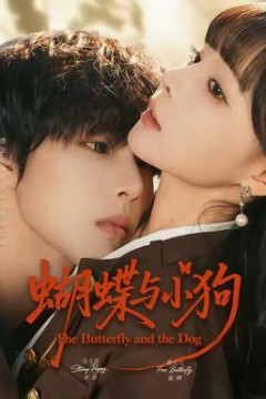 蝴蝶与小狗