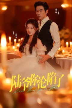 陆爷你沦陷了