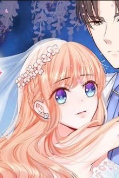 陆少的甜心公主动态漫画