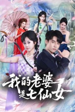 我的老婆是七仙女