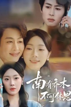 南有乔木，不可休思